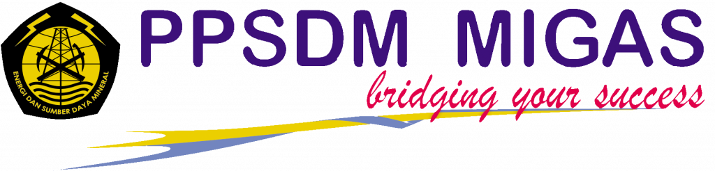 PPSDM